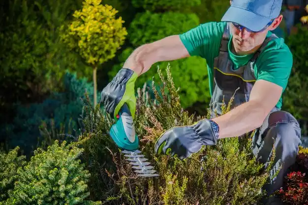 landscaping services Onaway
